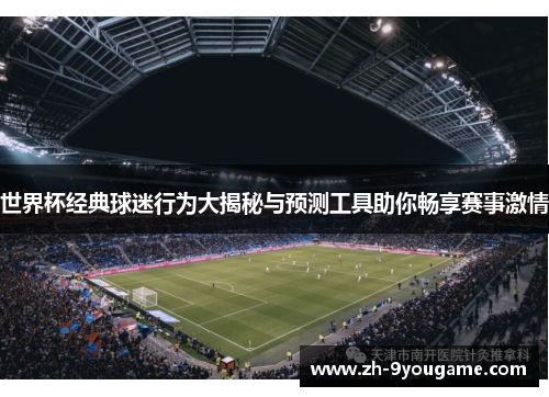 世界杯经典球迷行为大揭秘与预测工具助你畅享赛事激情
