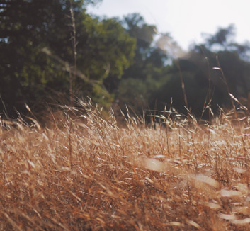 河北华夏幸福球队迎战对手，预备拼搏